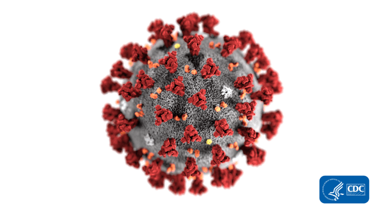coronavirus rendering