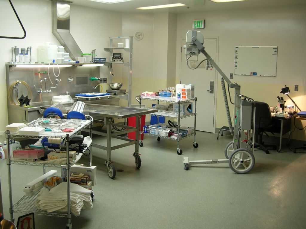 Autopsy Room
