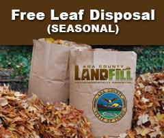 Boise's curbside compost program will pick up your leaves