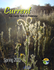Spring 2022 Newsletter Cover of Flowers