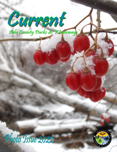 Current Winter Photo Issue 2022 Cover