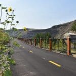 pavement trail with yellow flower on the side and rod iron fencing on the other side.