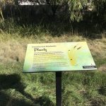 constructed wetlands plants informative sign