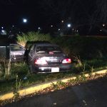 Black Nissan Car Crashed into a bush