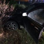 Black Car Crashed into a bush