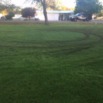 tire tracks in a circle formation on grass