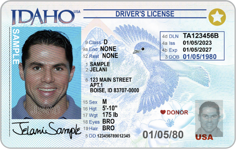Driver's License sample image