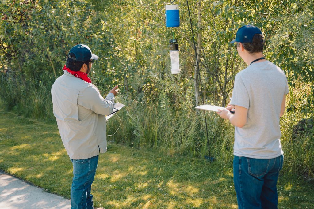 two men looking at a mosquito trap