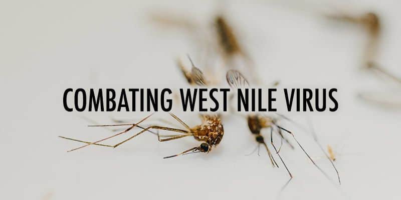 Combating West Nile Virus