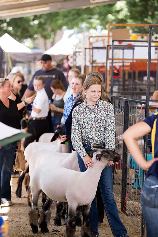 GIRL WITH SHEEP